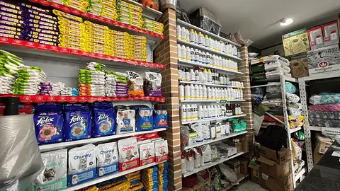 Punto fisico