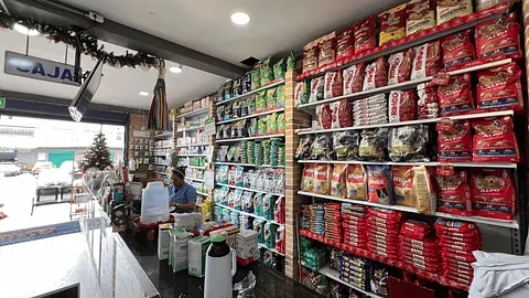 Punto fisico