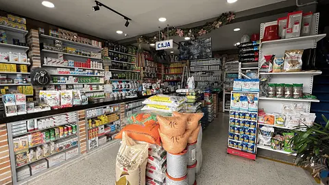 Punto fisico
