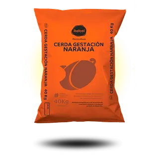Italcol Cerda Gestacion Naranja 40Kg