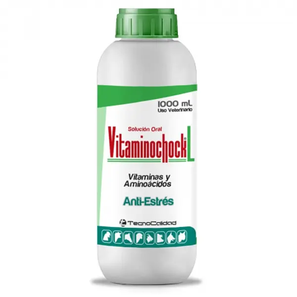 Vitaminochock L 1000Ml