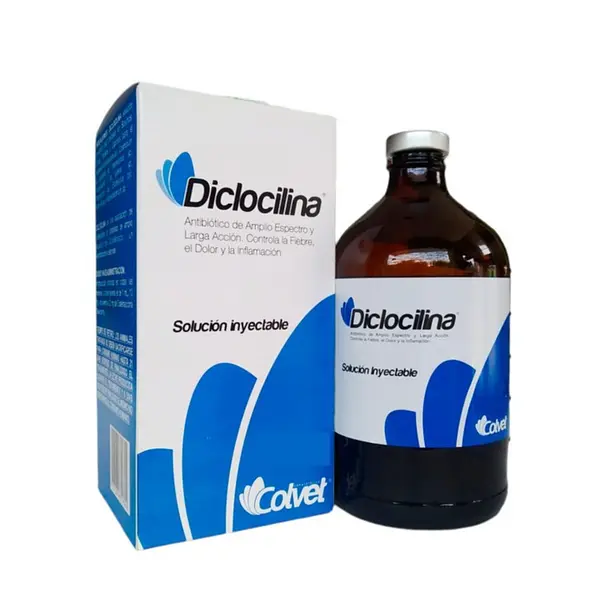 Colvet Diclocilina 250Ml