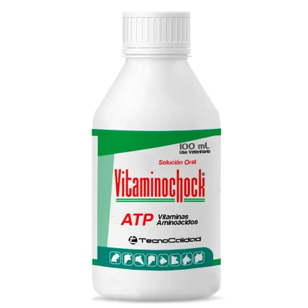 Vitaminochock L 100Ml