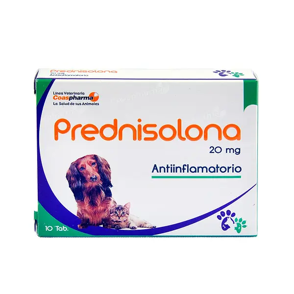 Prebnisolona 20Mg