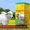 Hemopar B12 500ml