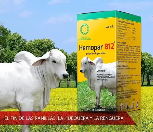 Hemopar B12 500ml